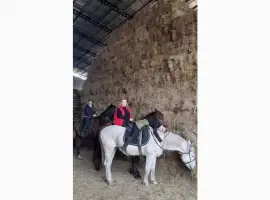 Зображення для оголошення Продам солому