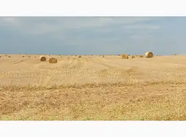 Зображення для оголошення Продам солому