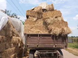 Зображення для оголошення Продам солома