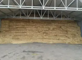Зображення для оголошення Продам солому в тюках весом