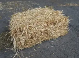Зображення для оголошення Продам солому