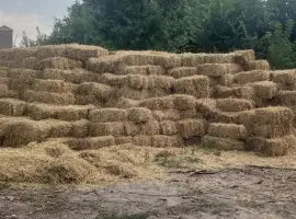 Зображення для оголошення Продам солому в тюках