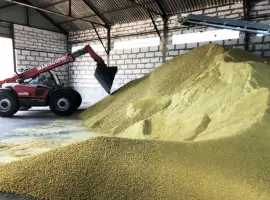 Зображення для оголошення Макуха СОЄВА протеін 45%