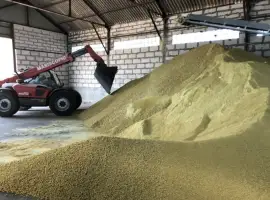 Зображення для оголошення Продаємо соєвий жмих (шрот, макуха)