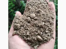 Зображення для оголошення Куплю Шрот соняшниковий