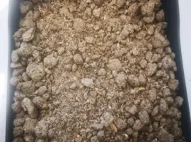 Зображення для оголошення Подсолнечный шрот/ Шрот соняшниковий / Sunflower meal