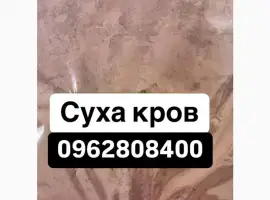 Зображення для оголошення Суха кров