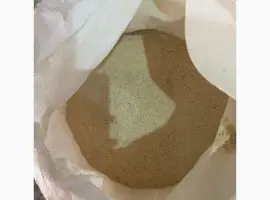 Зображення для оголошення Мучка горохова