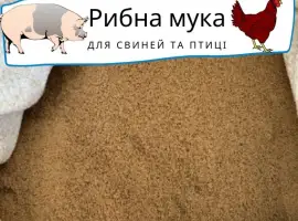 Зображення для оголошення Предлагаем качественную рыбную муку - протеин 63-66%, 69-73%