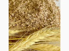 Зображення для оголошення Продам висівки пшеничні