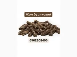 Зображення для оголошення Жом буряковий гранульований