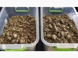 Зображення для оголошення Продам макуху-шрот соняшниковий