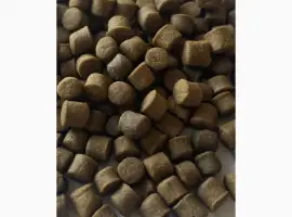 Зображення для оголошення Корм Fishery Tech Deepdine Classic для осетра, форелі (3, 0; 4, 0; 4, 5; 6, 0; 8, 0 мм)