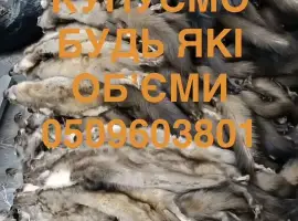 Зображення для оголошення Куплю шкуры мех куниці шкури дорого шкурки хутро