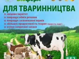 Зображення для оголошення Пробиотик жидкий для животноводства коровы, свиньи, козы, овцы, лошади и др