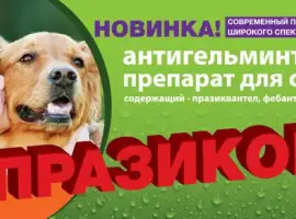 Зображення для оголошення Празикон -ангельминтик широкого спектра действия