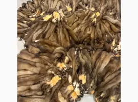 Зображення для оголошення Куплю куницю НАЙДОРОЖЧЕ