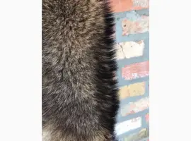 Зображення для оголошення Продам выделанные шкуры енота