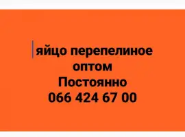 Зображення для оголошення Куплю яйцо перепелиное оптом