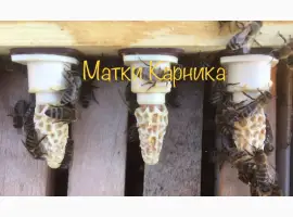 Зображення для оголошення Продам Карнику