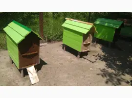 Зображення для оголошення Вулики з бджолами