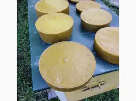 Зображення для оголошення Продам діючу