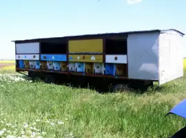 Зображення для оголошення Продам павільйон Колосок