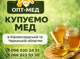 Зображення для оголошення Купуємо МЕД соняшниковий в Кіровоградській обл
