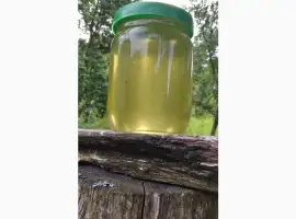Зображення для оголошення Продам мед/мёд з власної пасіки 2025 року акацієвий