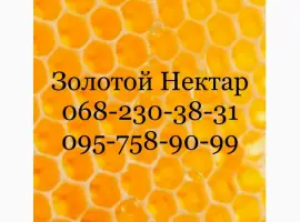 Зображення для оголошення Закупка меда по Днепропетровской и Херсонской обл