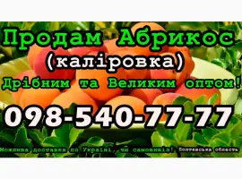 Зображення для оголошення Реалізую Абрикос Каліровка