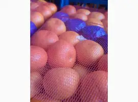 Зображення для оголошення Продам мандарин оптом Окітсу, Сатсума