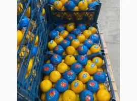 Зображення для оголошення Мандарины экспорт