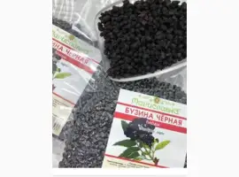 Зображення для оголошення Ягоду БУЗИНЫ сухую закупаем по Украине