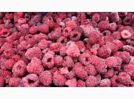 Зображення для оголошення Продам малину заморожену 80/20