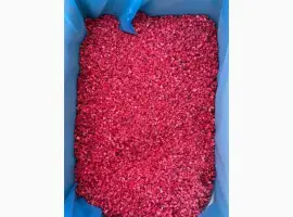 Зображення для оголошення Продам малину грис
