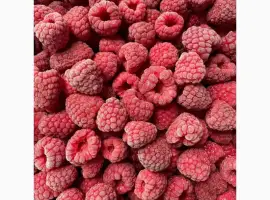 Зображення для оголошення Купимо заморожену малину