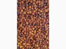 Зображення для оголошення Продам рябину красную (сухую)