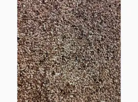Зображення для оголошення Продам косточку шиповника
