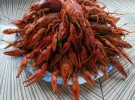 Зображення для оголошення Куплю Живых Раков