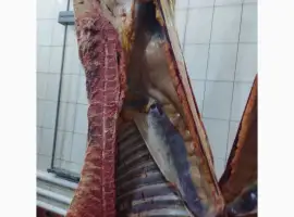 Зображення для оголошення Продам Яловичина(корова