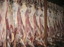 Зображення для оголошення Мясо Полутуши