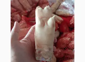 Зображення для оголошення Продам ніжки свинні За запитом