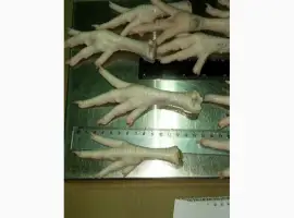 Зображення для оголошення Есть покупатели куриных лапок