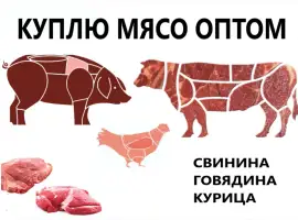 Зображення для оголошення Куплю мясо птиці (частини курячі: філе