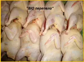 Зображення для оголошення Мясо перепела BIO оптом