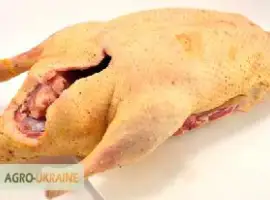 Зображення для оголошення Мясо домашней утки