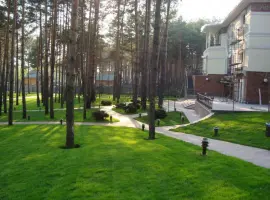Зображення для оголошення Суміші насіння газонних трав