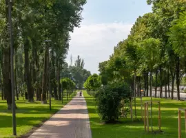 Зображення для оголошення Hасіння травосуміші для благоустрою парків (також з ПДВ)