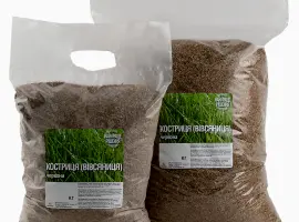 Зображення для оголошення Вівсянниця (костриця) червона купити від 1кг